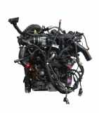 Motor für Ford Transit V363 2,0 EcoBlue N0HA erst 8 KM