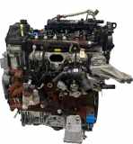 Motor Für Ford Kuga III 2,0 EcoBlue YMDA LX6Q-6006-DC