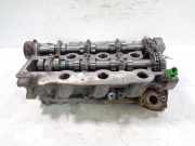 Zylinderkopf für Land Rover Discovery L319 2,7 D 276DT AJD 4R8Q-6C064