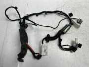 Kabelbaum für Porsche Panamera 971 2,9 V6 Petrol CSZ CSZB TAB052206