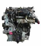 Motor für Kia Sportage MK4 2,0 EURO 6 CRDI D4HA Z63012FZ00