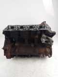 Motorblock Block für Ford Transit 2,0 DI F3FA 3S7Q-6015-AA