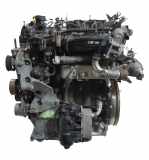 Motor für Hyundai ix35 IX35 2,0 CRDi EURO5 D4HA 165F12FU00A