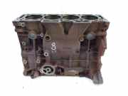 Motorblock Block Ford Galaxy S-Max 2,0 TDCi Diesel T7CL