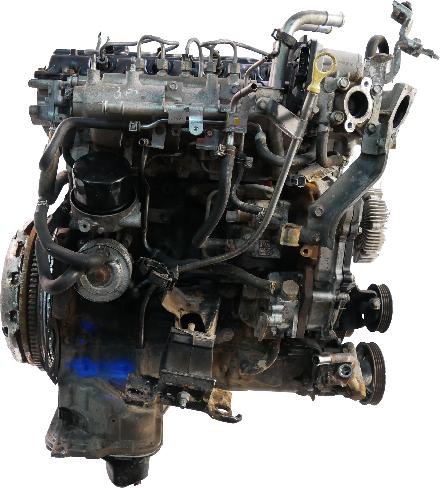 Motor für Nissan Navara D40 2,5 dCi Diesel YD25DDTI YD25 10102EC00A