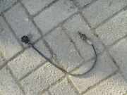 Lambdasonde Bank 2 Z22YH 9319 OPEL VECTRA C 2.2 16V 108 KW 12574574