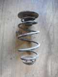 Feder rechts hinten 4237 OPEL ASTRA G CC (F48_, F08_) 1.8 16V 85 KW