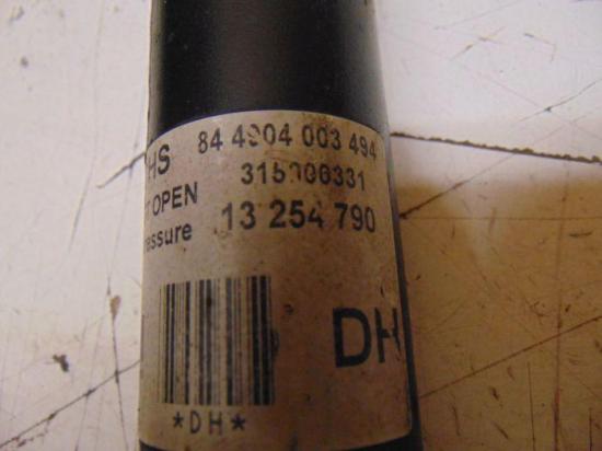 Stoßdämpfer rechts hinten OPEL SIGNUM 2.2 DIRECT 114 KW 13254790 Bild Stoßdämpfer rechts hinten OPEL SIGNUM 2.2 DIRECT 114 KW 13254790