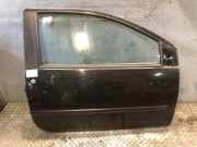 Tür rechts vorne RENAULT Twingo II (CN0) 801008682R 801002977R