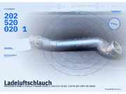 Ladeluftschlauch MERCEDES-BENZ C-Klasse T-Modell (S202) 2025200201