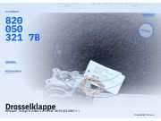 Drosselklappe RENAULT Twingo II (CN0) 8200503217B