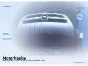 Motorhaube OPEL Meriva A