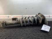 Federbein links hinten MINI Mini (R50, R53) 22190551