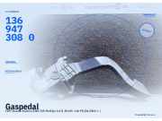 Gaspedal FIAT Ducato Kasten (250) 1369473080