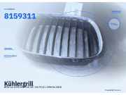 Kühlergrill BMW 5er (E39) 8159311