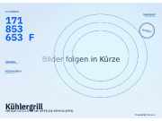 Kühlergrill VW Golf I (17) 171853653F