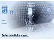 Federbein links vorne BMW X1 (E84) X Drive mit Achsschenkel 31316851335