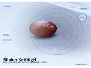 Blinker Kotflügel FORD Fiesta III (GFJ)