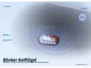 Blinker Kotflügel RENAULT Twingo I (C06)