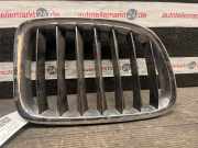 Kühlergrill rechts BMW X3 (F25) 10627110