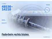 Federbein rechts hinten TOYOTA Supra (A7) 4853014210 48530-14210