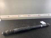 Stoßdämpfer hinten RENAULT Twingo II (CN0) 8200368122