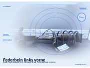 Federbein links vorne FORD Transit Connect (P*2)