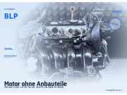 Motor ohne Anbauteile VW Golf V (1K) BLP