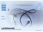 Lambdasonde PEUGEOT 605 0258003087