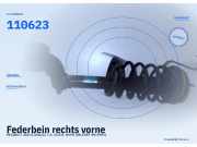Federbein rechts vorne PEUGEOT 205 II (20A/C) 110623