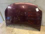 Motorhaube VW Polo IV (9N) 6QE823031B