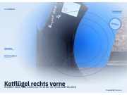 Kotflügel rechts vorne PEUGEOT 206+