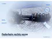 Federbein rechts vorne VW Golf V (1K)