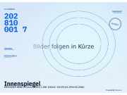 Innenspiegel MERCEDES-BENZ C-Klasse (W202) 2028100017