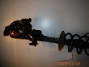 Federbein rechts vorne FIAT Punto (188) 00507019840