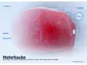 Motorhaube OPEL Tigra Twintop (X-C/Roadster)