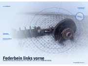 Federbein links vorne SKODA Octavia II Kombi (1Z)