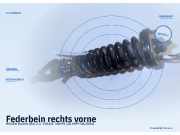 Federbein rechts vorne HONDA Shuttle (RA)