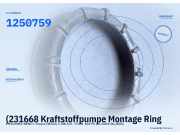 (231668 Kraftstoffpumpe Montage Ring MERCEDES-BENZ C-Klasse (W203) 1250759) 1250759