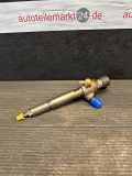 Einspritzdüse NISSAN Qashqai (J10) H8200294788