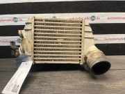 Ladeluftkühler AUDI TT (8N) 8N0145803A