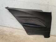 Türverkleidung links hinten BMW 1er (F20)