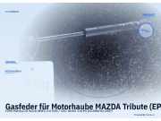 Gasfeder für Motorhaube MAZDA Tribute (EP)