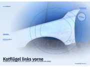 Kotflügel links vorne HYUNDAI Centennial (LZ)