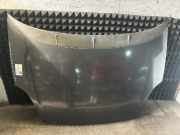 Motorhaube FIAT Punto Evo (199)