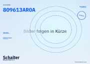 Schalter Nissan Note (E12) 809613AR0A