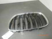 Kühlergrill BMW X5 (E53)