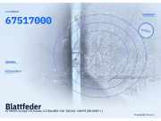 Blattfeder CITROEN Jumper III Kasten 67517000