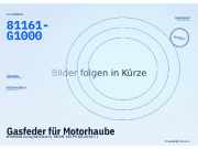 Gasfeder für Motorhaube HYUNDAI Ioniq (AE) 81161-G1000