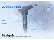 Zündspule HYUNDAI Santa Fe II (CM) 273003F100